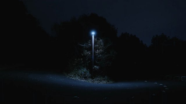 Kinkazan Driveway Curve
